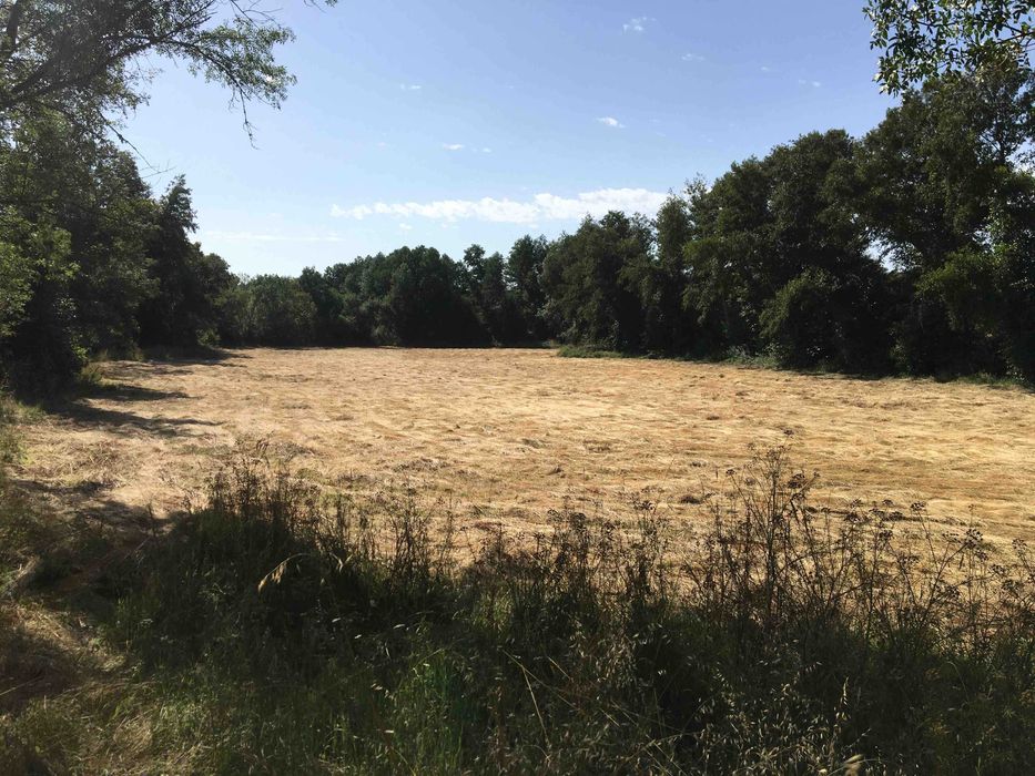 Terreno 5 hectares barato, viabilidade de construção, muita água e exposição solar