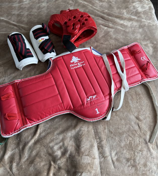 Защита для тейквондо