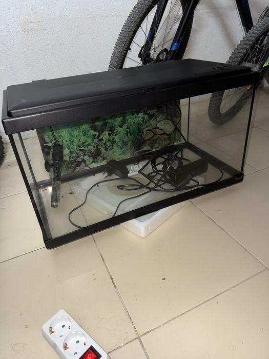 Aquario para peixes