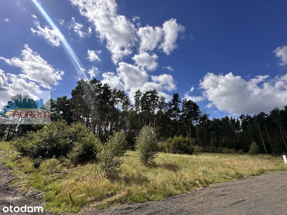 Działka 968 m² | 10 min od Zielonej Góry - Widok 2