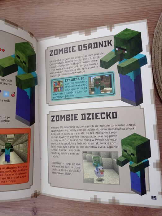 Książki Minecraft