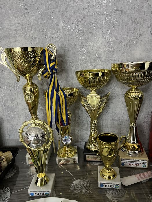 Вʼязка померанський шпіц ведмежого типу