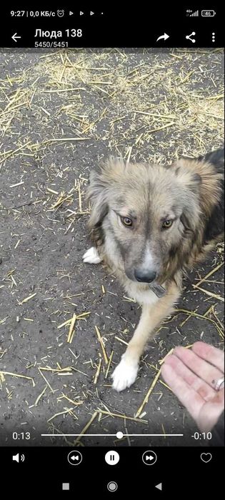 Хлопчик шукає родину.