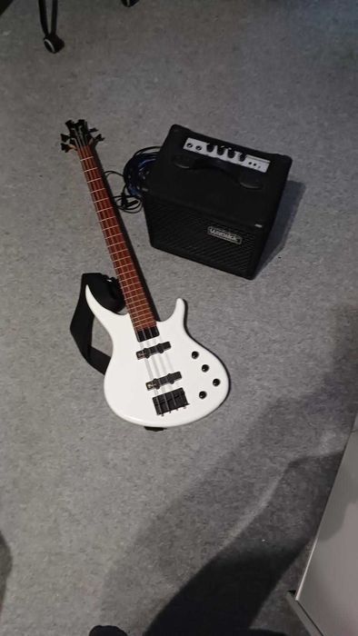 Gitara Basowa Epiphone Toby Standard IV AW + Wzmacniacz Warwick BC10 + Pasek