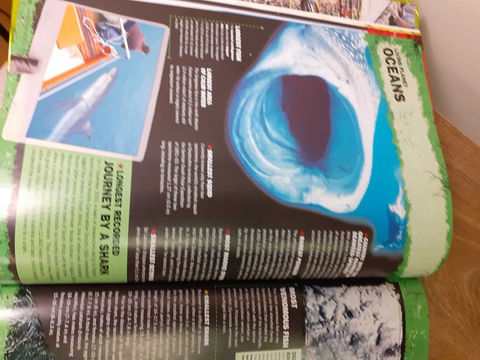 "Guinness World Records 2009"