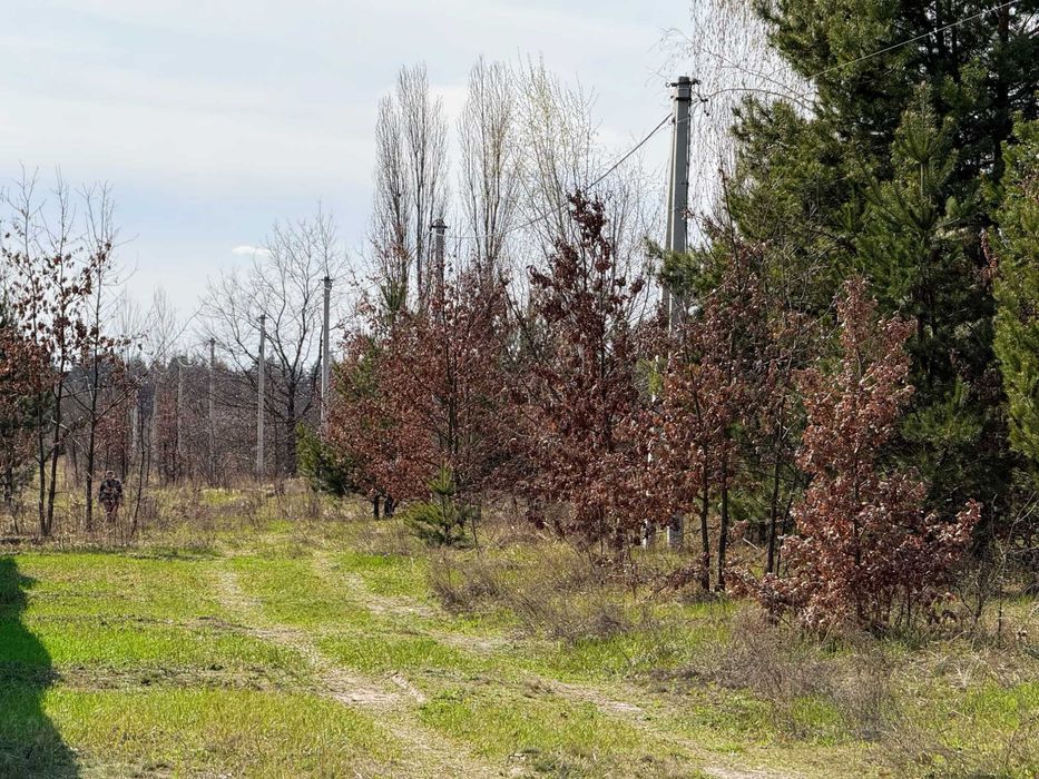 Продаж двохфасадної ділянки 34 сотки під забудову, 500 м від траси, 15 хв від Києва по прямій | с. Мила - View 3