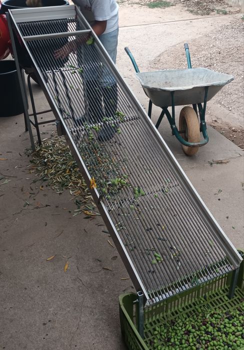 Mini lagar para produção de azeite