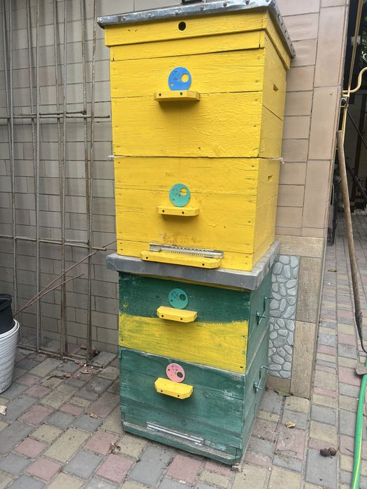 Продаю вулики дадан б/у.