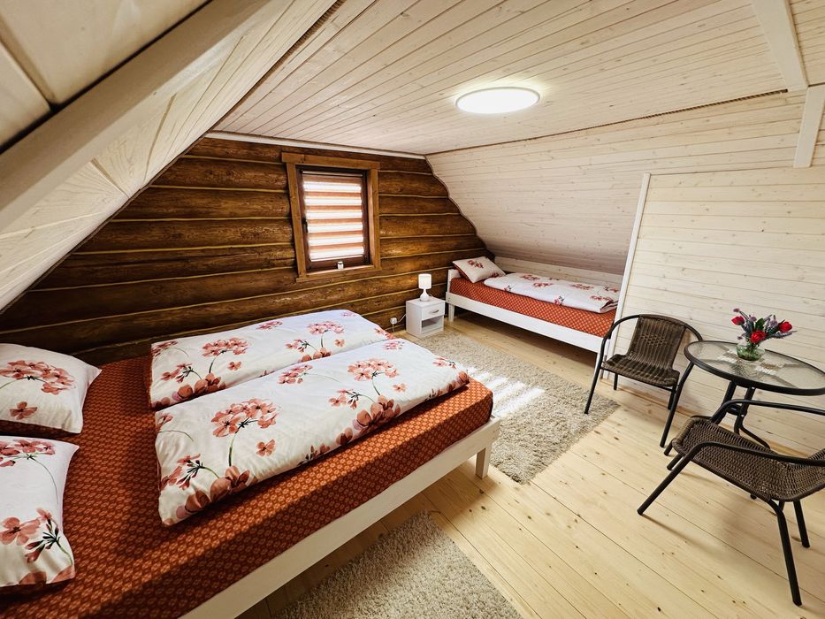 Деревяний будиночок біля термальних вод Косино