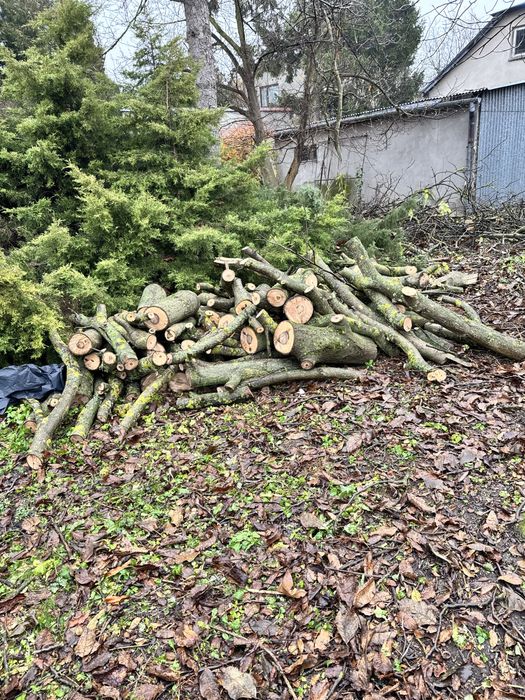 Drewno orzech odbiór własny