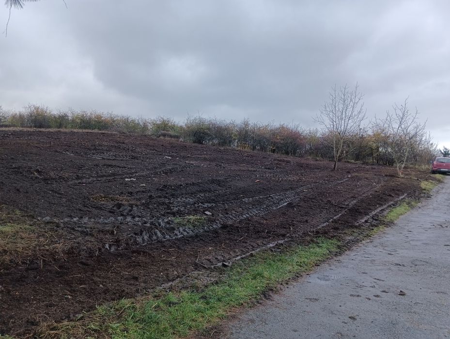 Wycinka drzew Karczowanie Zrębkowanie gałęzi Mulczer leśny Mulczowanie