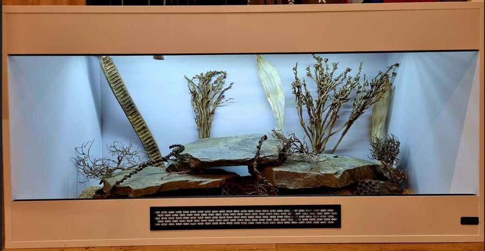 Terrarium 120x60x60 dla agamy brodatej jaszczurki