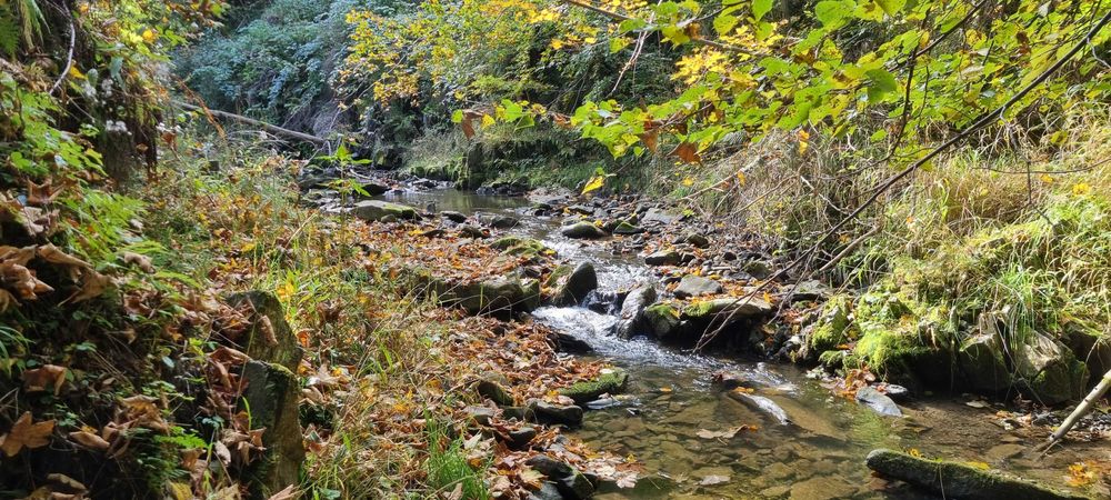 Działka pod budowę w Krzyzówkach k.Korbielowa - Widok 4