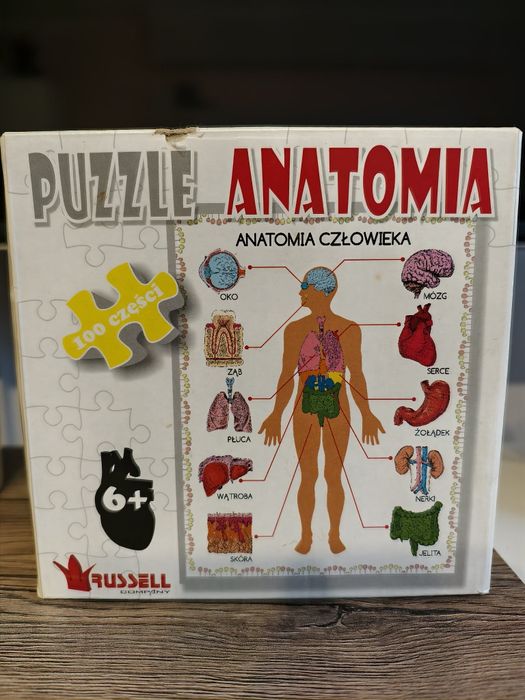 Puzzle Anatomia 100 części