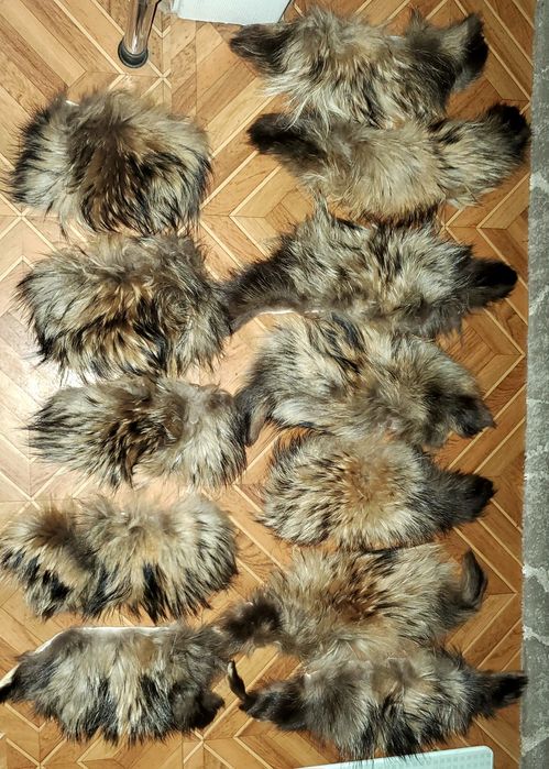 Обрез от натурального енота