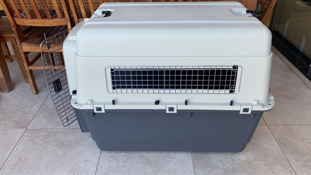 Caixa para transporte de cão grande
