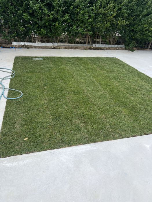 relva natural em tapete