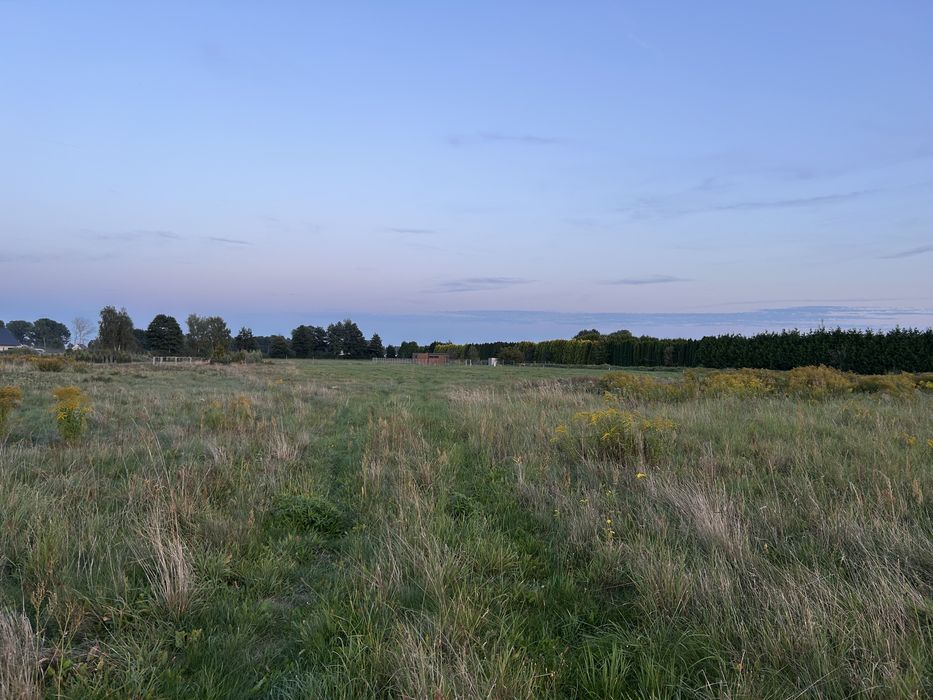 Sprzedam działki budowlane w Maszewie gm. Deszczno - Widok 5