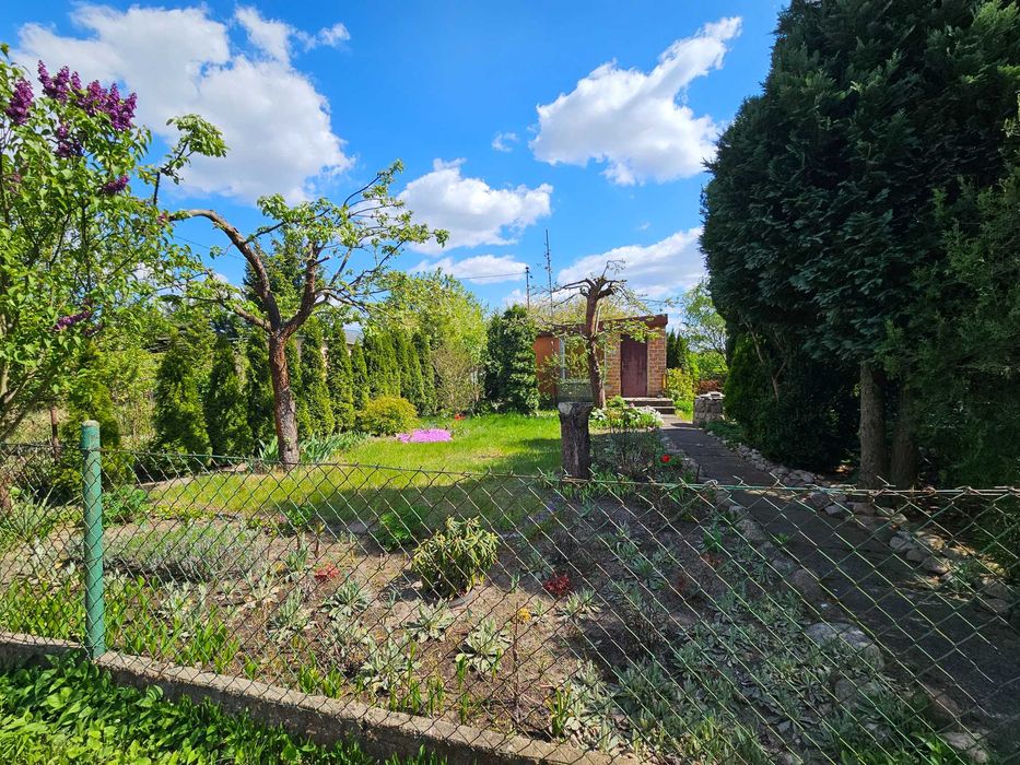 Działka ROD Kapuściska przy ul. Chemicznej