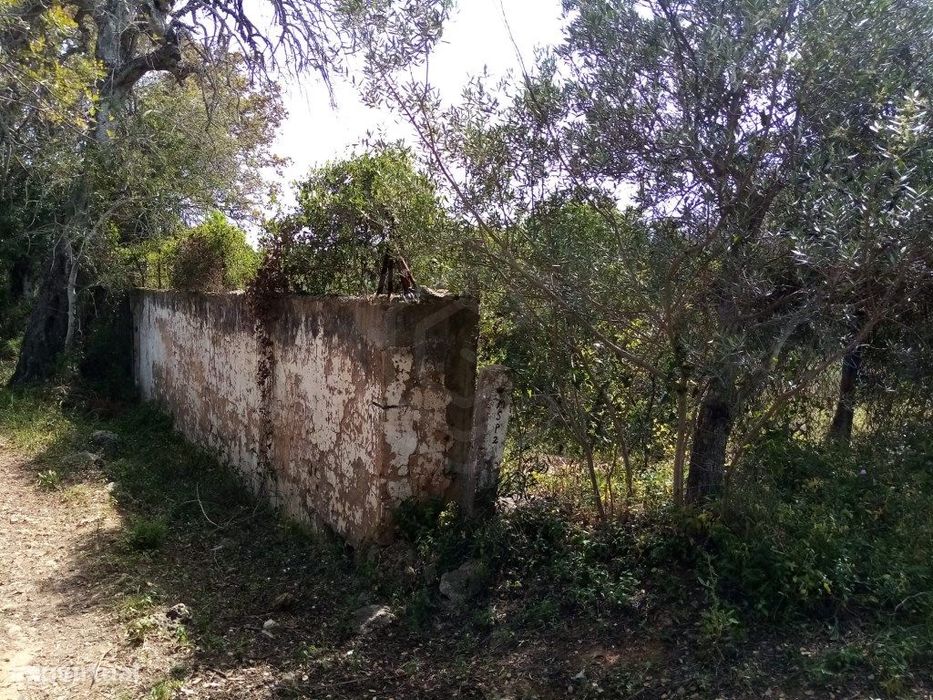 Terreno Rustico com 11 136m2, Loulé, Algarve