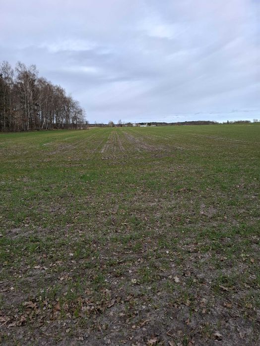 Działka  3,53 w Charnowie w sąsiedztwie doliny Charlotty 4 km od Ustki - Widok 3