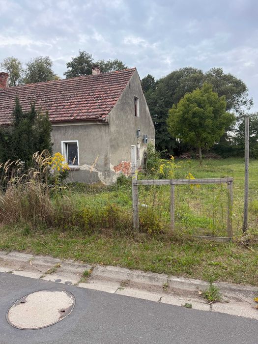 Dom – Wołów - Widok 3