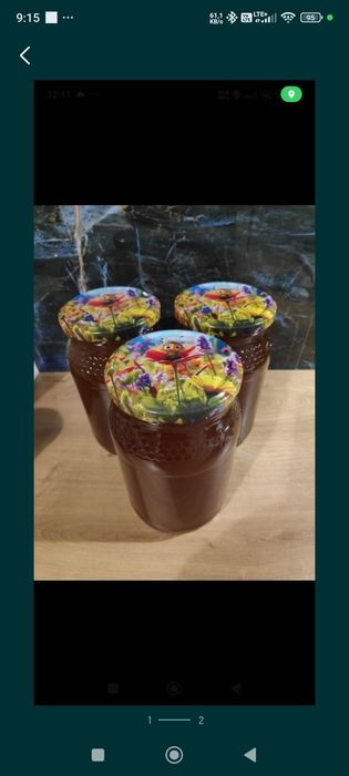 Miód wielokwiatowy nektarowy spadziowy