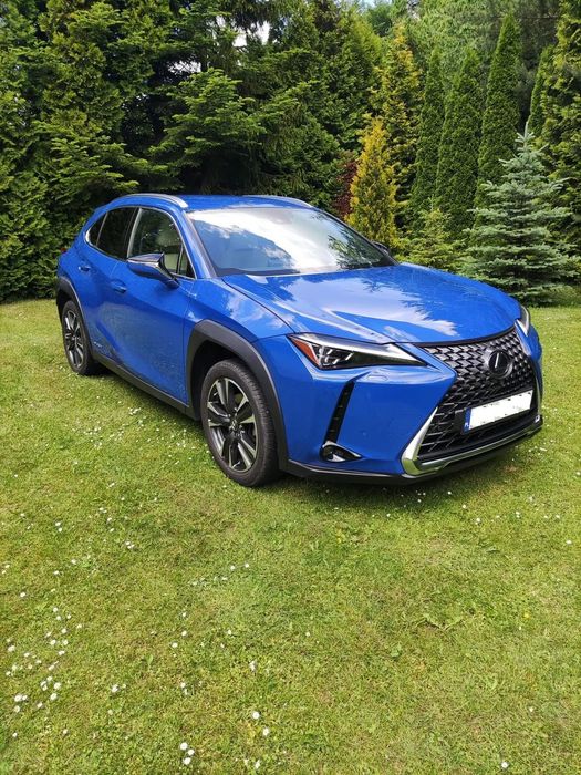 Lexus UX 4x4, Mark Levinson, Najbogatsza wersja, Jasna Skora, Serwis