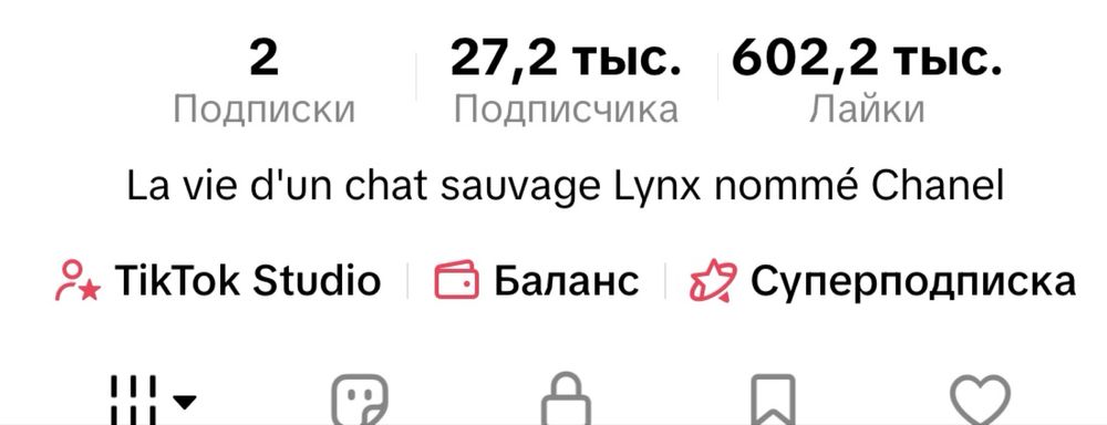 Аккаунт Тик Ток 27.2 тысячи Монетезирован