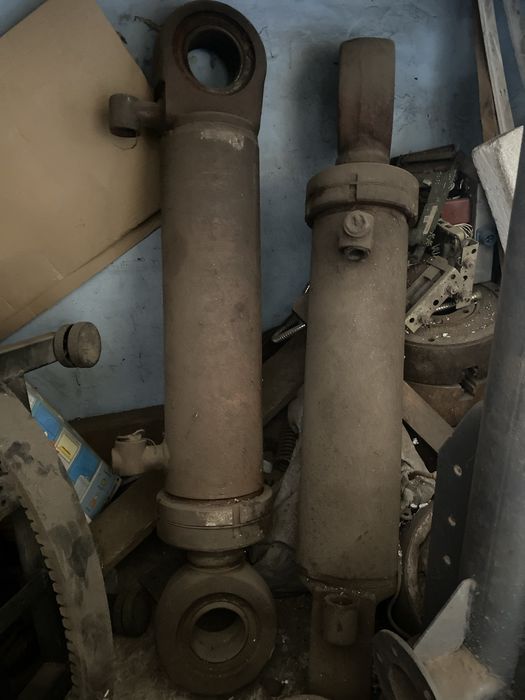 Гидроцелидри разные