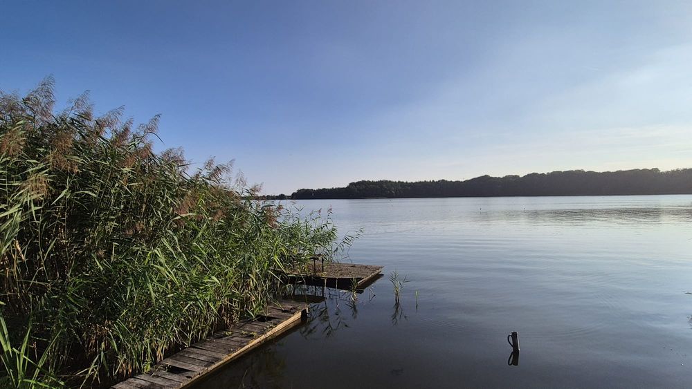 Sprzedam działkę ROD  w Ķórnik - Bnin