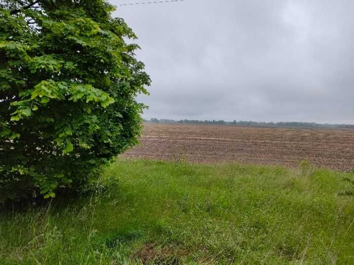 Продам ділянку в с. Ясногородка, Макарівський р-н. Власник.
