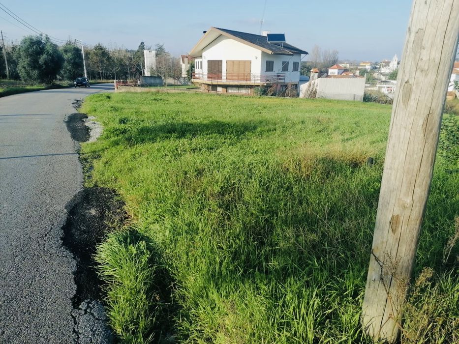Lote urbano Amoreira da Gândara Bairrada Aveiro