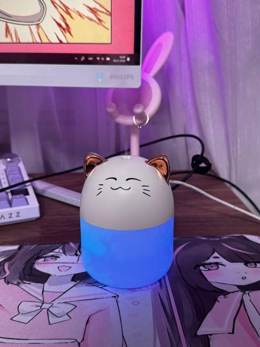 Маленький зволожувач повітря у вигляді котика з підсвіткою