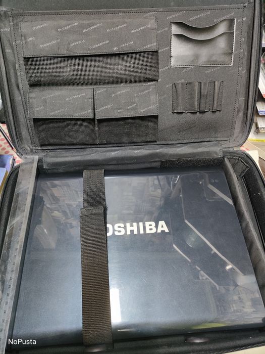 Сумка для ноутбука Professional