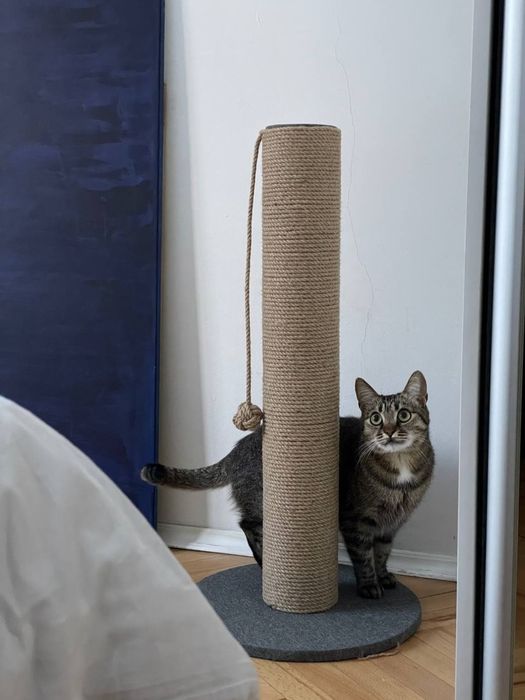 Когтеточка з дерева 65/82/102см 11Ø для Великих котів для мейнкунів