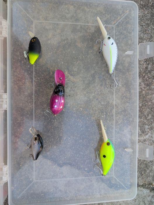 Amostras de pesca,colheres e Jiggs