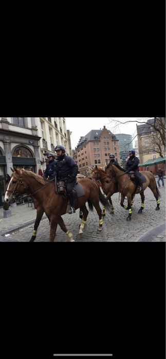 Бельгія Німеччина Нідерланди Транспортування