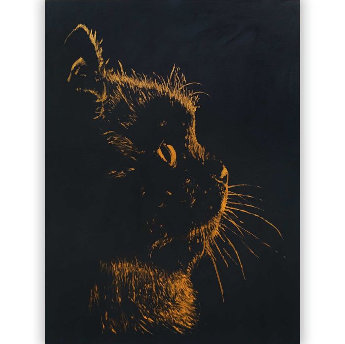 Obraz namalowany na płótnie , wymiary 73x54cm