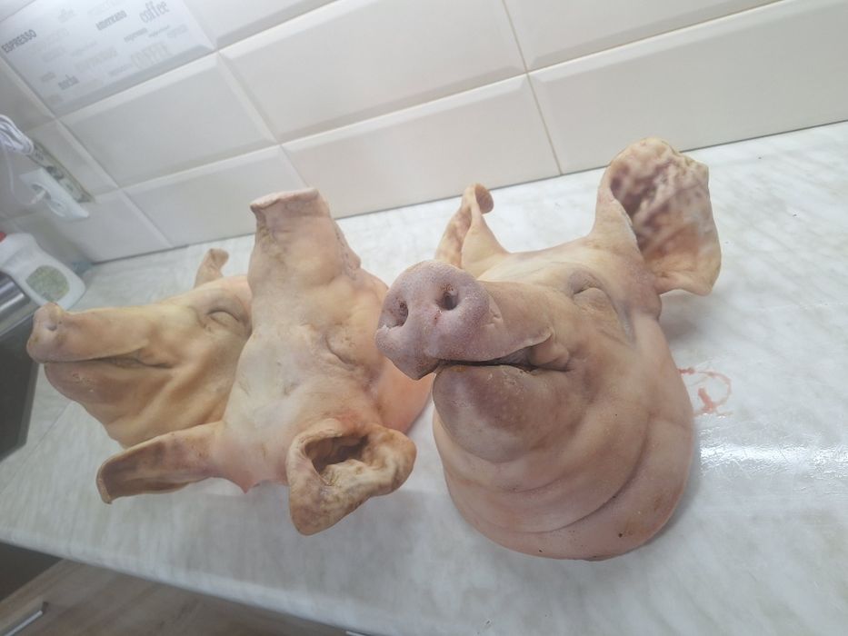 Свині,тушки , півтушки...