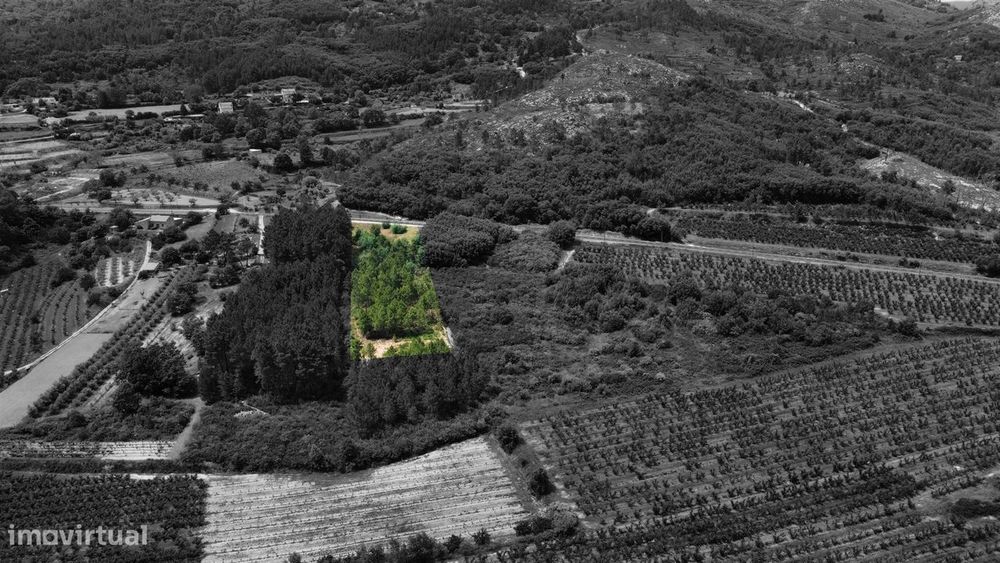 Terreno Rústico c/ 5.629 m² em Aldeia do Souto – Covilhã
