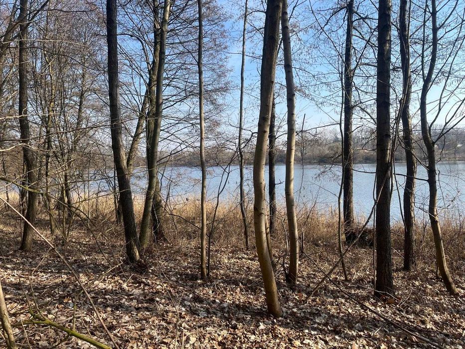 Działka z linią brzegową jeziora - WYNAJEM