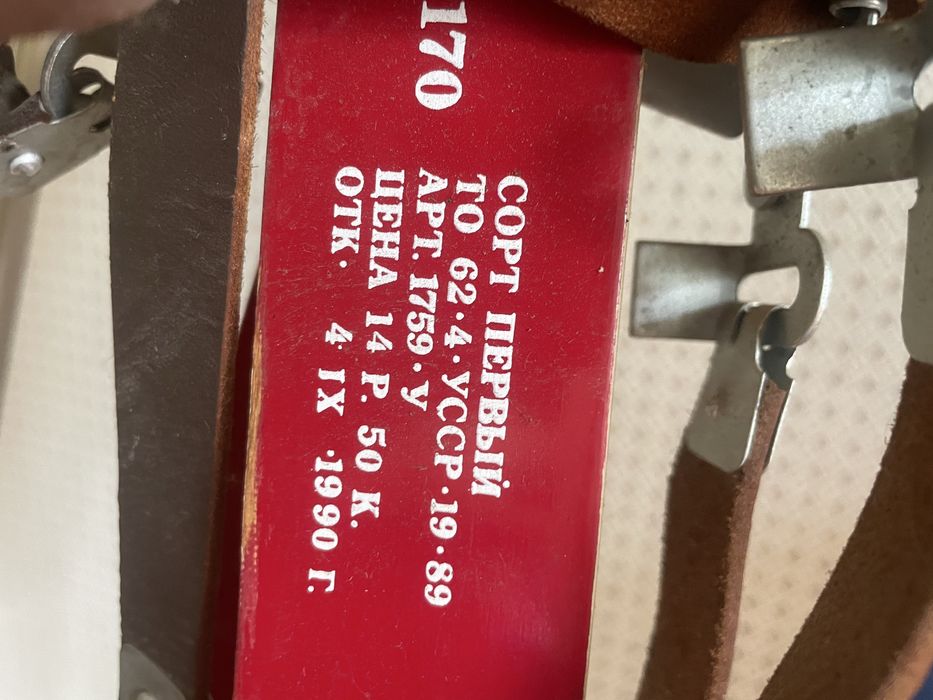 Лижі Тиса з палками