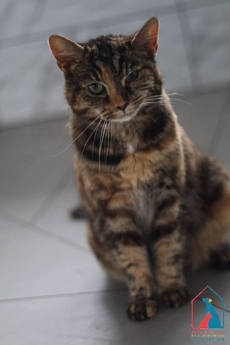 Mojka 413/25 - SZUKA DOMU!