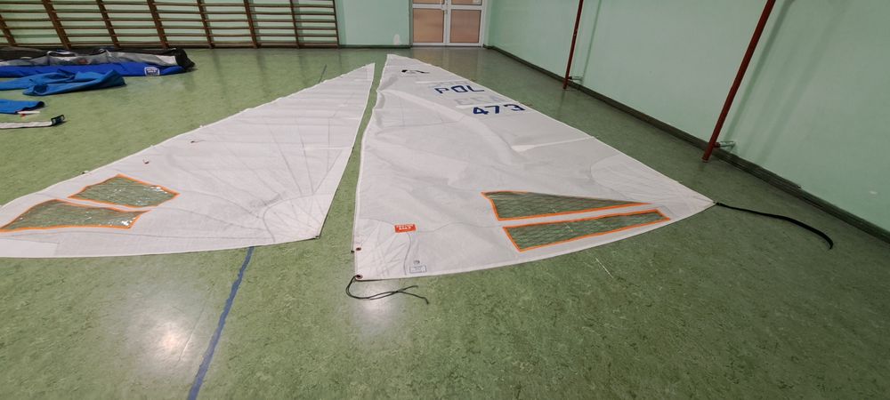 Zagle regatowa do Omegii - Vector Sails 2022 r