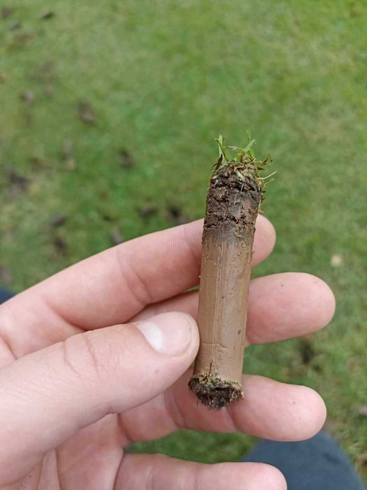 Aeracja rurkowa Wertykulacja trawnika Piaskowanie