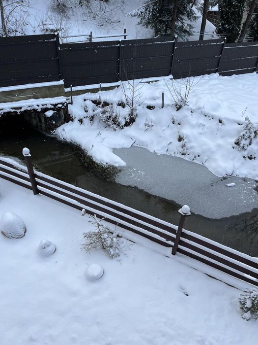 Котедж «Ведмедиця Тадея»