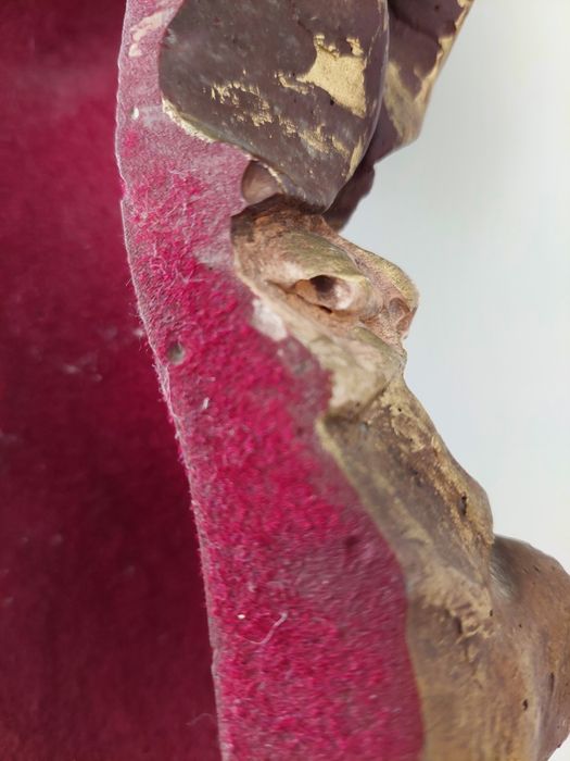 Figura SANTO TERRACOTA Séc XVIII