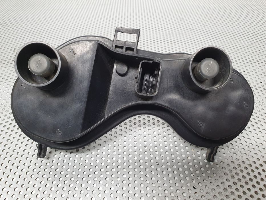 Suporte lâmpada esquerdo RENAULT Megane II (BM0/1_, CM0/1_)