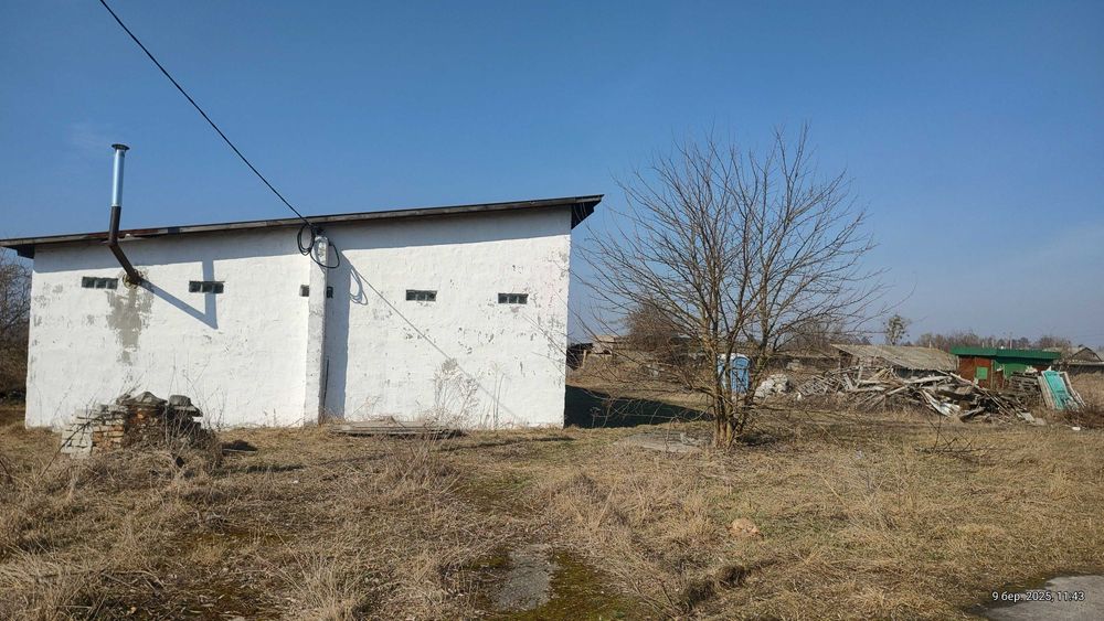 Ферма Свиноферма Скотарство Зерносхови Цех Броварський 600квм 70сот